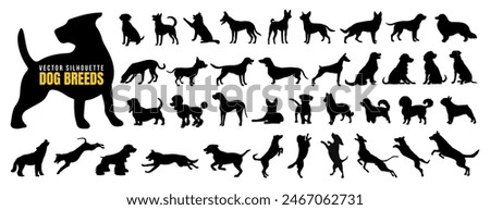 Vector set of different dog breed silhouette isolated on white background. American puppy or pet animal clip art. Wild dog doodle sketch or line art. Black dog different funny activity symbol or icon.