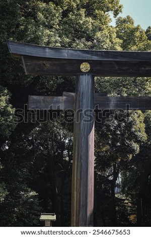 Similar – Image, Stock Photo signpost Cemetery Graves