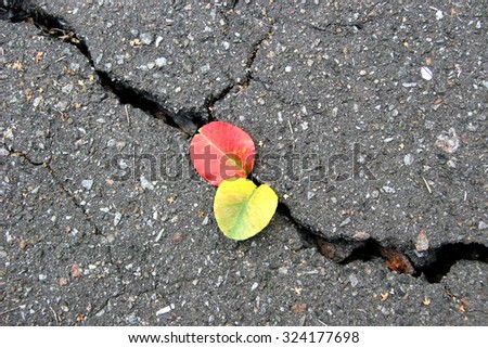 Two sheets of wood with yellow and red fall into a crack in the pavement. The concept of relationship