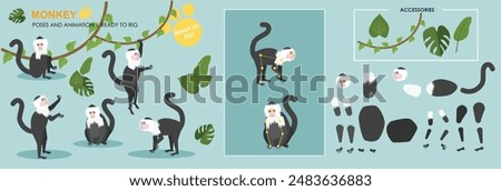 Cute Monkey character ready for animation, vector pack, collection, rig ready for animation, multiple poses. capuchin monkeys