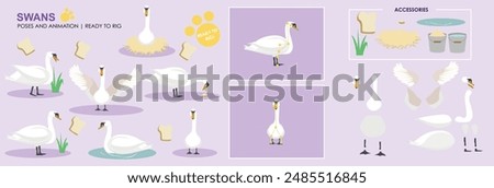 Cute animated vector swan collection ready to animate with multiple poses and positions rig ready set, animals, nature. 