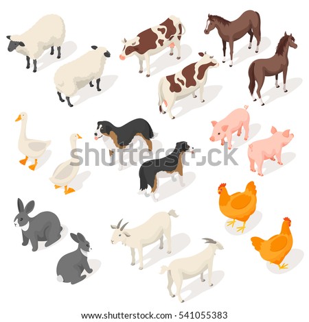 Isometric 3d vector set of farm animals. Back and Front view. Icon for web. Isolated on white background.