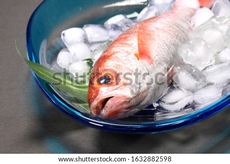 Shutterstock Puzzlepix