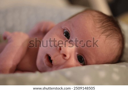 Similar – Image, Stock Photo Lovely and curious newborn lying down in her little bed