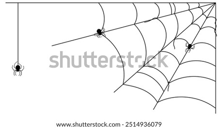 Spider Web Corner Vector with Realistic Spiders. White Background. Halloween Elements.