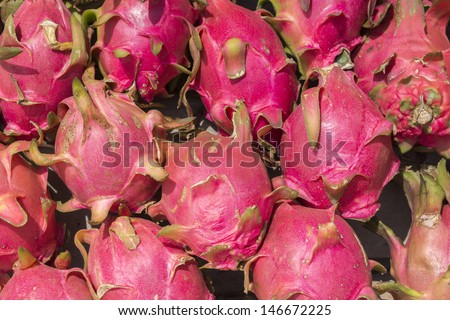 Bunch of pink dragon fruits or pitayas. Focus on a display of the juicy dragon fruit aka pitaya.