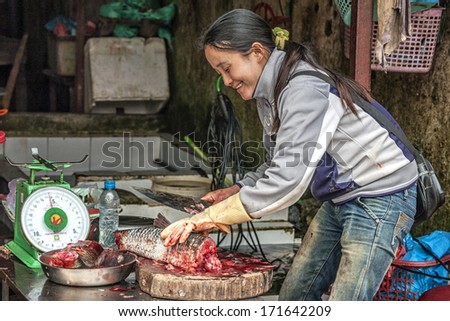 SA PA, VIETNAM - CIRCA MARCH 2012: Unidentified female fish vendor cutting fish in bloody pieces on market. Smiling woman with knife and balance.