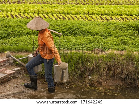 RED RIVER DELTA, VIETNAM - CIRCA MARCH 2012: Female farmer holding two full water cans on bamboo shoulder holder. Stepping out of the pool where she filled the cans with green veggie background.