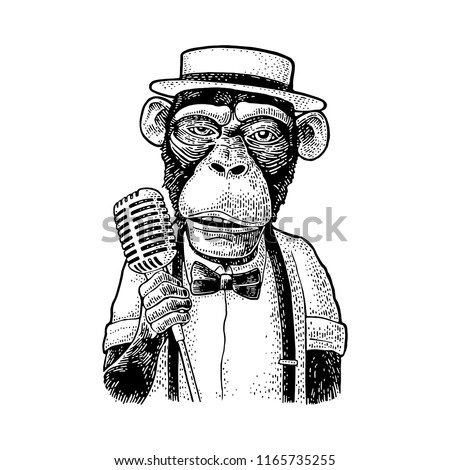 Monkey holding microphone. Vintage black engraving illustration. Isolated on white background. Hand drawn design element for poster