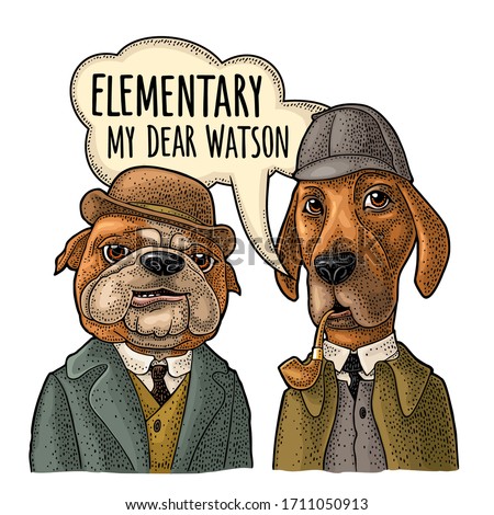 Two dogs in Sherlock Holmes and Dr. Watson appearance. Vector color engraving vintage illustrations isolated on white. Hand drawn design element for poster. Handwriting lettering elementary my dear