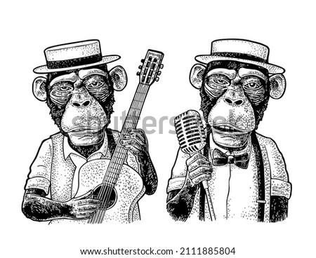 Monkeys dressed hat, shirt, bow tie holding microphone and guitar. Vintage black engraving illustration. Isolated on white background. Hand drawn design element for poster