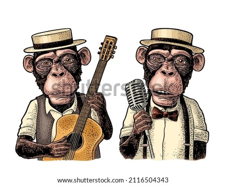 Monkeys dressed hat, shirt, bow tie holding microphone and guitar. Vintage color engraving illustration. Isolated on white background. Hand drawn design element for t-shirt