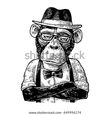 Monkey hipster with paws crossed dressed in hat, shirt, glasses and bow tie. Vintage black engraving illustration for poster. Isolated on white background