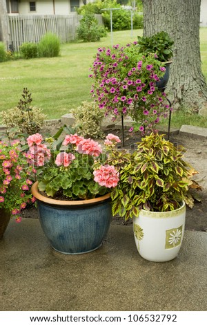 Two garden pots filled with blooming annuals on the patio.