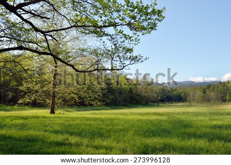 Early morning sun streams across lush green grass and trees in the spring in Cades Cove,Tennessee.