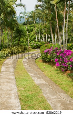 A concrete driveway lined with palm trees and colorful flowers.