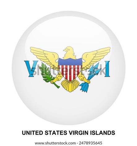 UNITED STATES VIRGIN ISLANDS flag button on white background