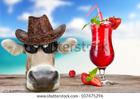 Funny cow with drink, concept of summer holidays