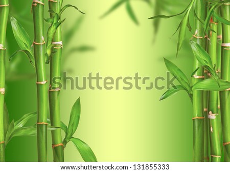 Spa Still