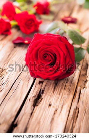 Detail of red roses on wood, low depth of focus