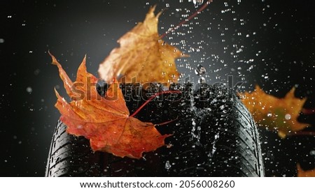 Car tire with falling autumn leaves and splashing water, macro photo, weather concept. Studio photo, Free space for text.