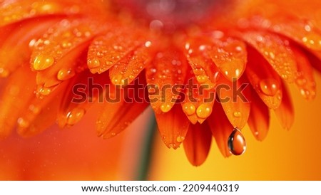 Similar – Image, Stock Photo Flower Macro shot