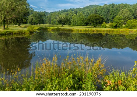 Golf course water hazard surrounded by flowers and trees