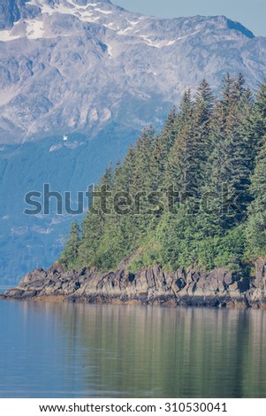 Scenic Alaska pine forests and snow capped mountains