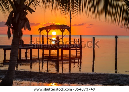 Similar – Image, Stock Photo Florida Keys Palm tree