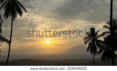 Similar – Foto Bild Baum in aufsteigenden Morgennebel