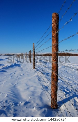 pillars with barbed wire in winter