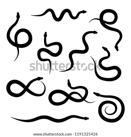 Snake silhouette vector on white set