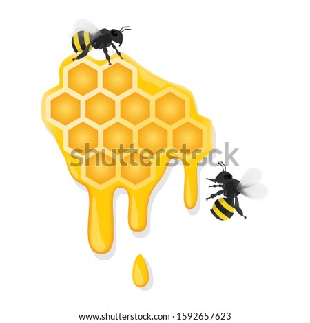 Bee with sweet honey in 3D style. Illustration vector design with Mesh tool.