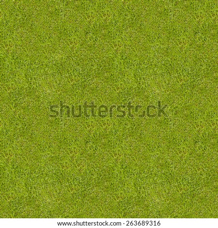 Seamless green meadow grass texture.
