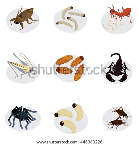 edible worms and insects cartoon style vector