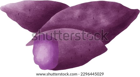 Colorful watercolor texture vector healthy vegetable purple sweet potato