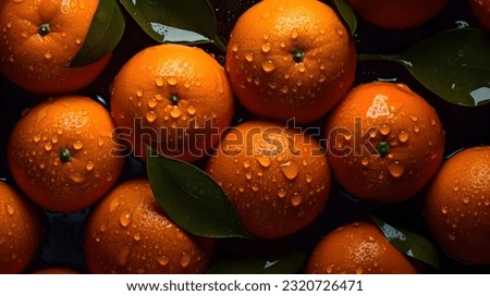 Similar – Image, Stock Photo Close up oranges in a tree