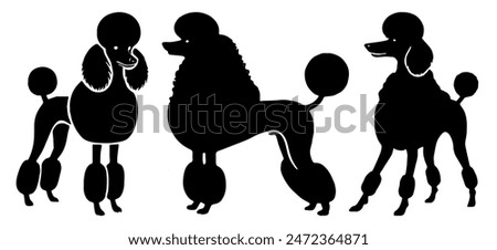 Poodle Silhouette: Dog Breed, Canine Outline, Pet Animal, Flat Vector Illustration