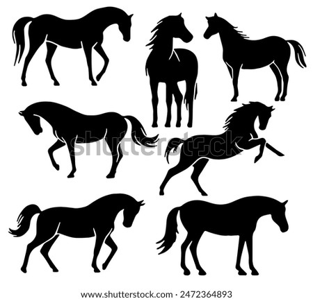 Similar – Image, Stock Photo White horse with pony