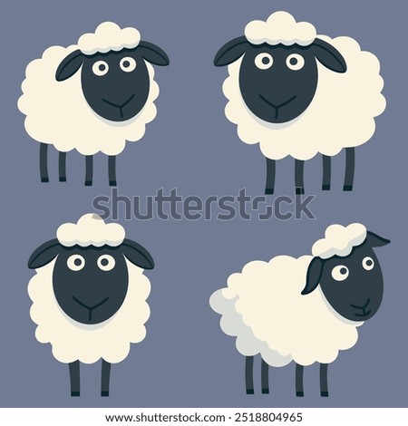 Set of 4 Sheep. Flat Vector Illustration