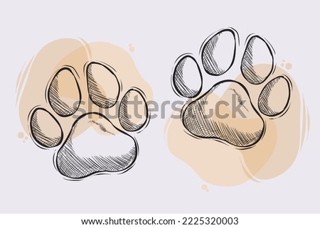 Hand drawn dog or cat paws, outline drawing of two pet paw against beige watercolors 