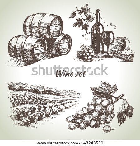 Hand drawn vector wine set