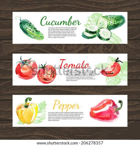 Watercolor and sketch vegetables organic food horizontal banner set. Design with cucumber, tomato and peppers. Vector illustration
