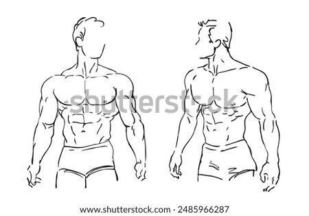 two male torsos athletic muscular men body fitness model line drawing  style vector illustration