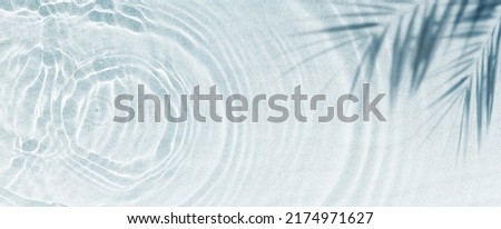 Similar – Image, Stock Photo Close up of the ears of a Maine Coon cat with long hair