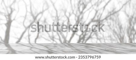 Image, Stock Photo Shadow of a bare tree on an orange house wall that continues beyond the corner of the house / shadow play