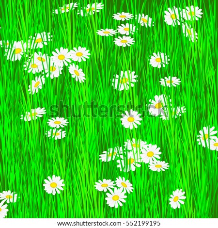 Similar – Image, Stock Photo Margarite blossom and blades of grass in the backlight of the evening sun