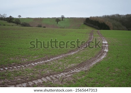 Similar – Foto Bild Ackerland umgeben von grünen Bäumen