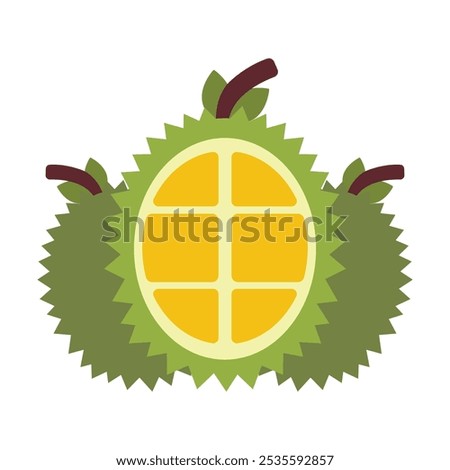 illustration of durian exotic tropical fruit on white background