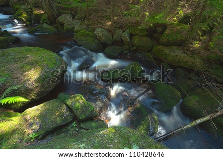 The river runs over boulders in the primeval forest